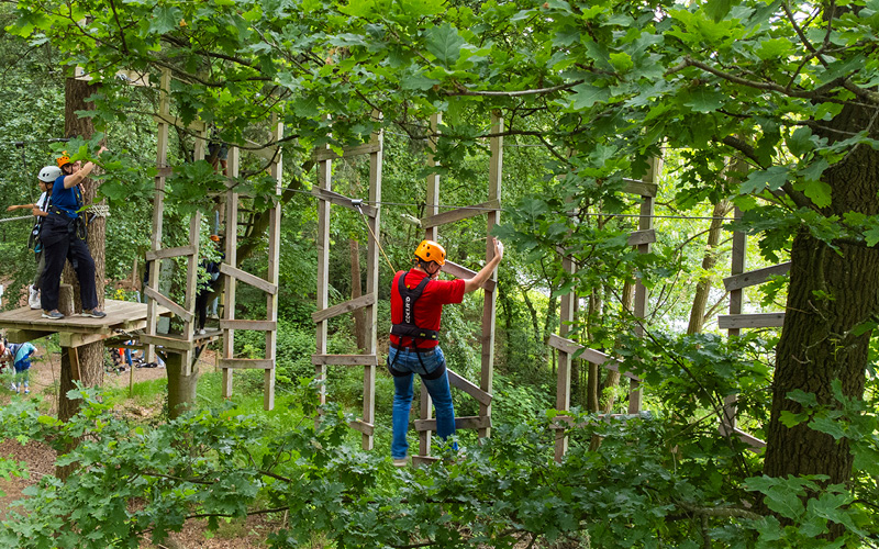 Ladders